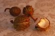 vintage chestnuts
