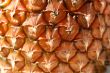 Pineapple close-up