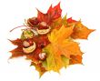 maple leaves and chestnuts