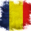 flag of national