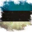 flag of national