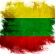 flag of national