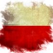 flag of national