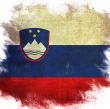 flag of national