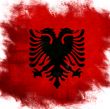 flag of national