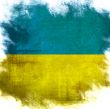 flag of national