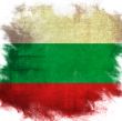 flag of national