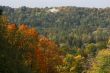 Colorful autumn forrest with white villa