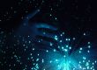 blue hand and fiber optics
