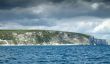 Dorset coast from the sea