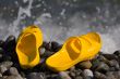 slippers on the beach