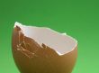 broken eggshell on green