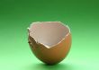 broken eggshell on green
