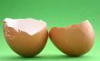 broken eggshell on green