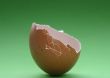 broken eggshell on green