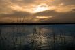 evening rushes