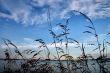 evening rushes