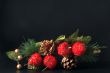 Christmas Spray