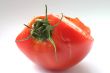 tomato details