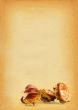 chestnuts against old stained paper