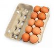 ten eggs in a box #2