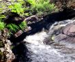 The fast small river among rocks.