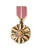 circle medal
