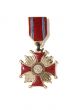 Old medal