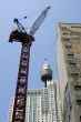 Tower Crane