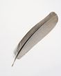 Feather