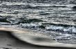 seashore