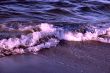 purple wave