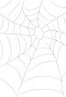 Halloween Spider Web Illustration