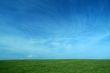nature background