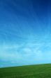 nature background