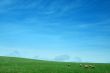 nature background