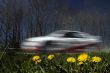 rally in nature