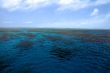 coral reef