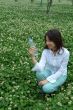 Asian Young Woman