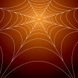 spooky spiders web