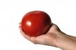 holding tomato