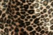 panther pattern #2