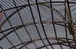Metal Roof