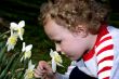 Smelling the Flowers