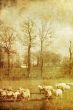 old-fashioned landscape