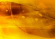 Great for textures and backgrounds