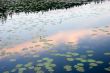 Evening on lake