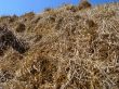 hay background