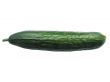 isolated cucumber