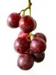 grape bunch #2